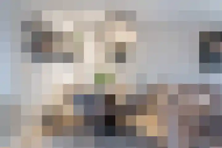Pennekert 12 Eindhoven thumbnail 26