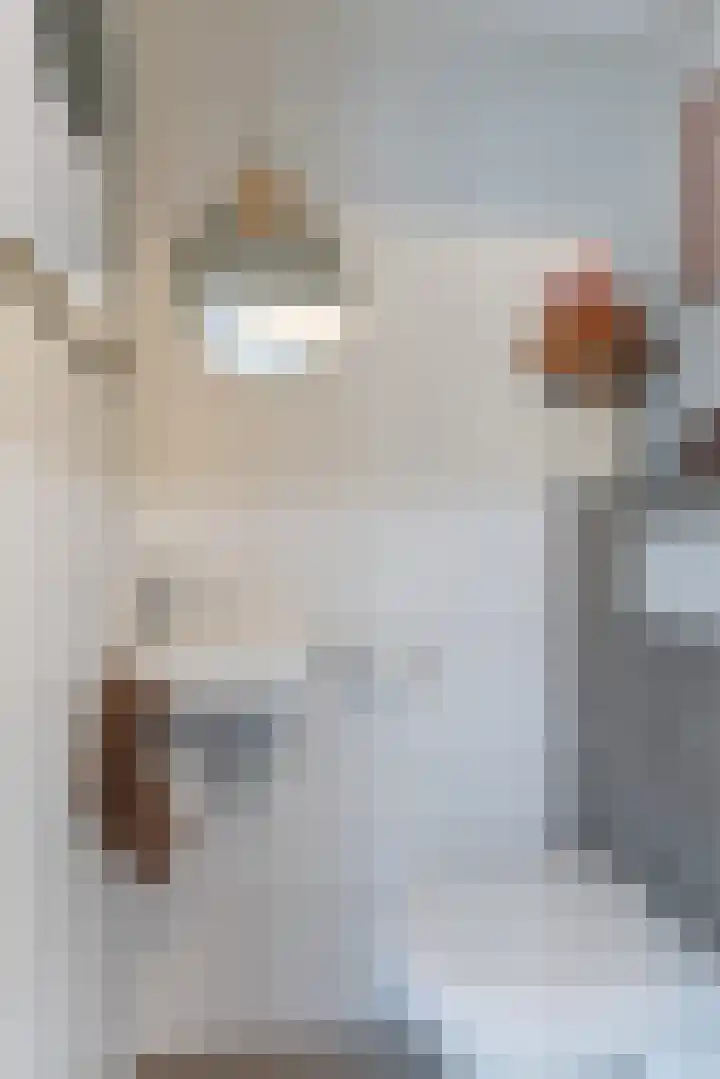 Pennekert 12 Eindhoven thumbnail 31