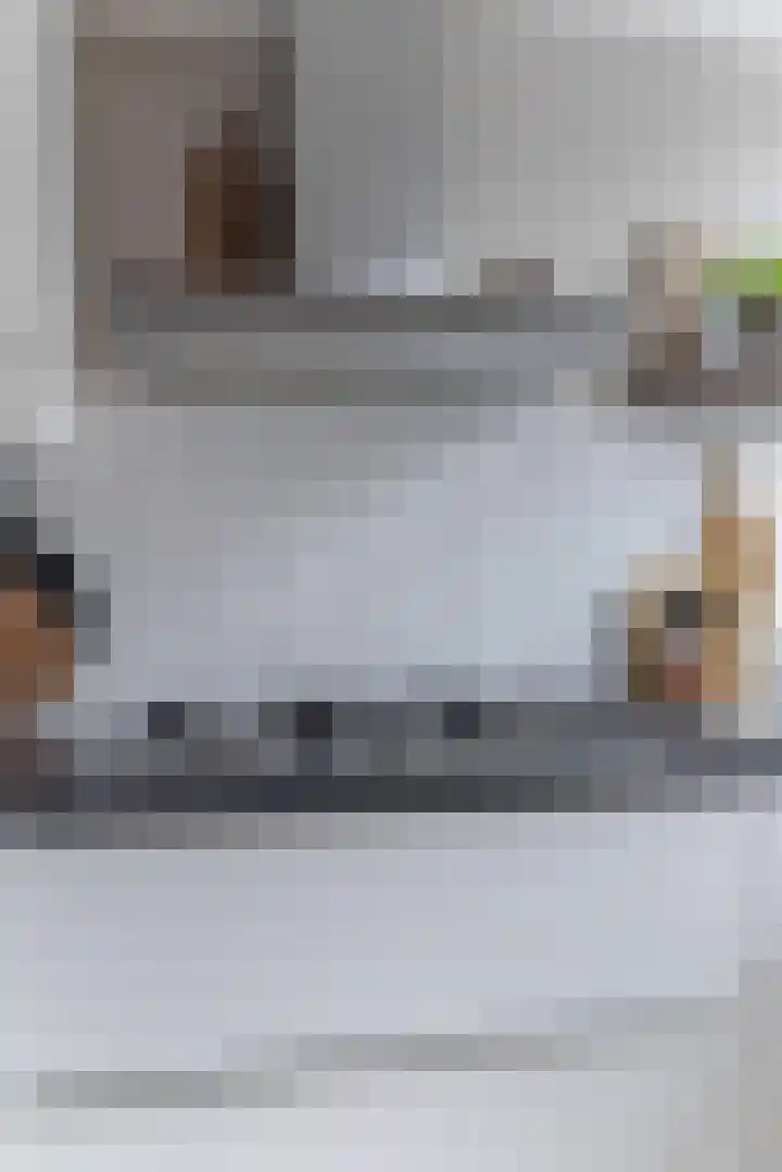 Pennekert 12 Eindhoven thumbnail 34