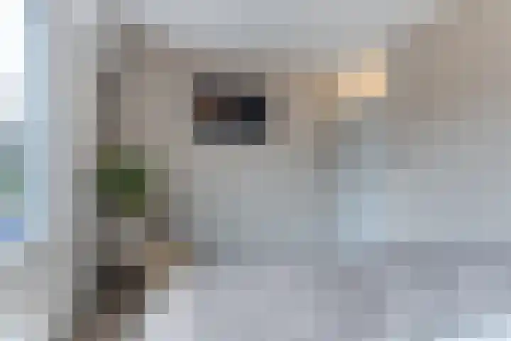 Pennekert 12 Eindhoven thumbnail 37