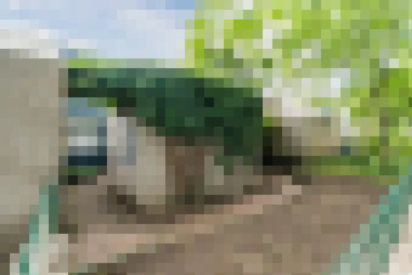 Pennekert 14 Eindhoven thumbnail 30