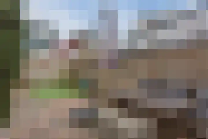Pennekert 14 Eindhoven thumbnail 30