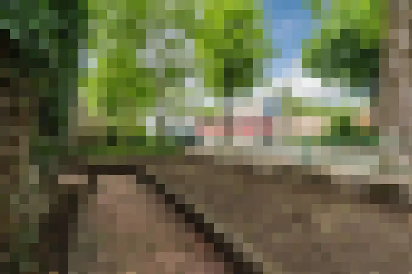 Pennekert 14 Eindhoven thumbnail 31