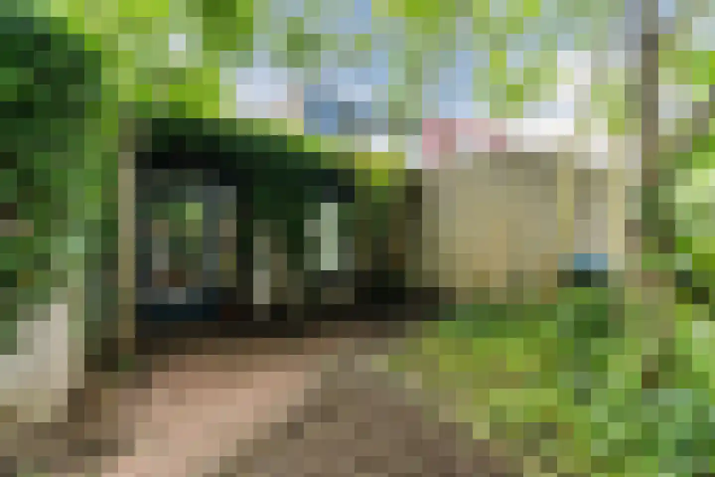 Pennekert 14 Eindhoven thumbnail 32
