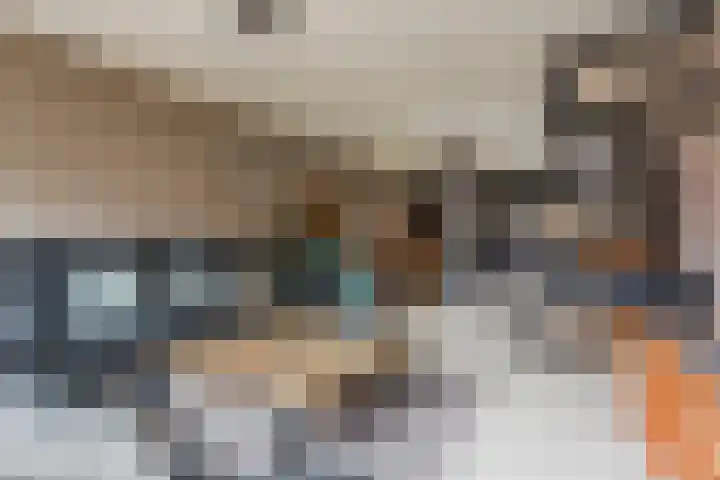 Pennekert 14 Eindhoven thumbnail 9