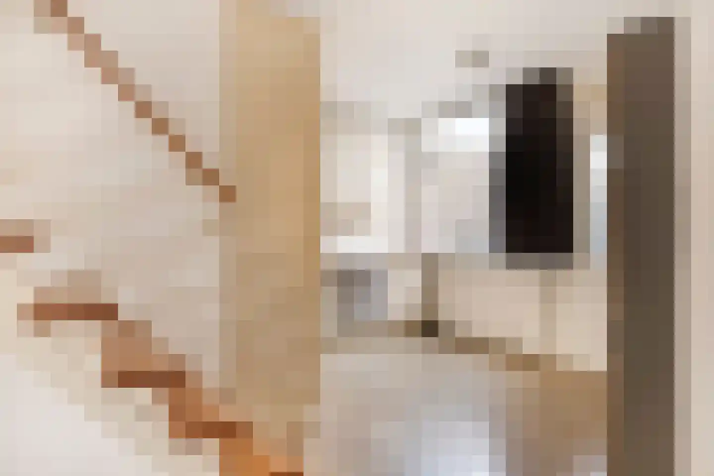Pennekert 8 Eindhoven thumbnail 17