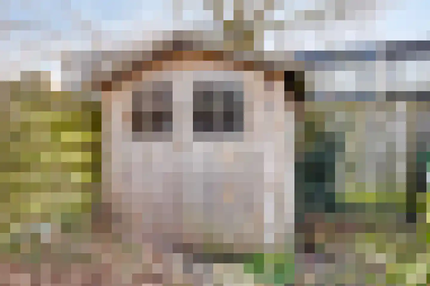 Pennekert 8 Eindhoven thumbnail 34
