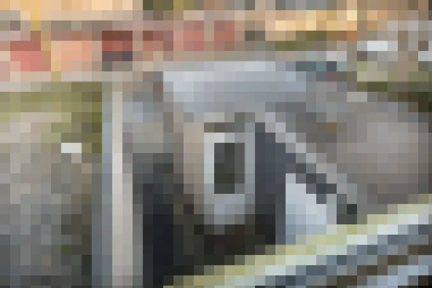 Pennekert 8 Eindhoven thumbnail 37