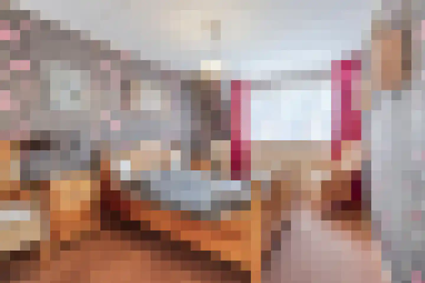 Pennekrogtje 33 Hippolytushoef thumbnail 13