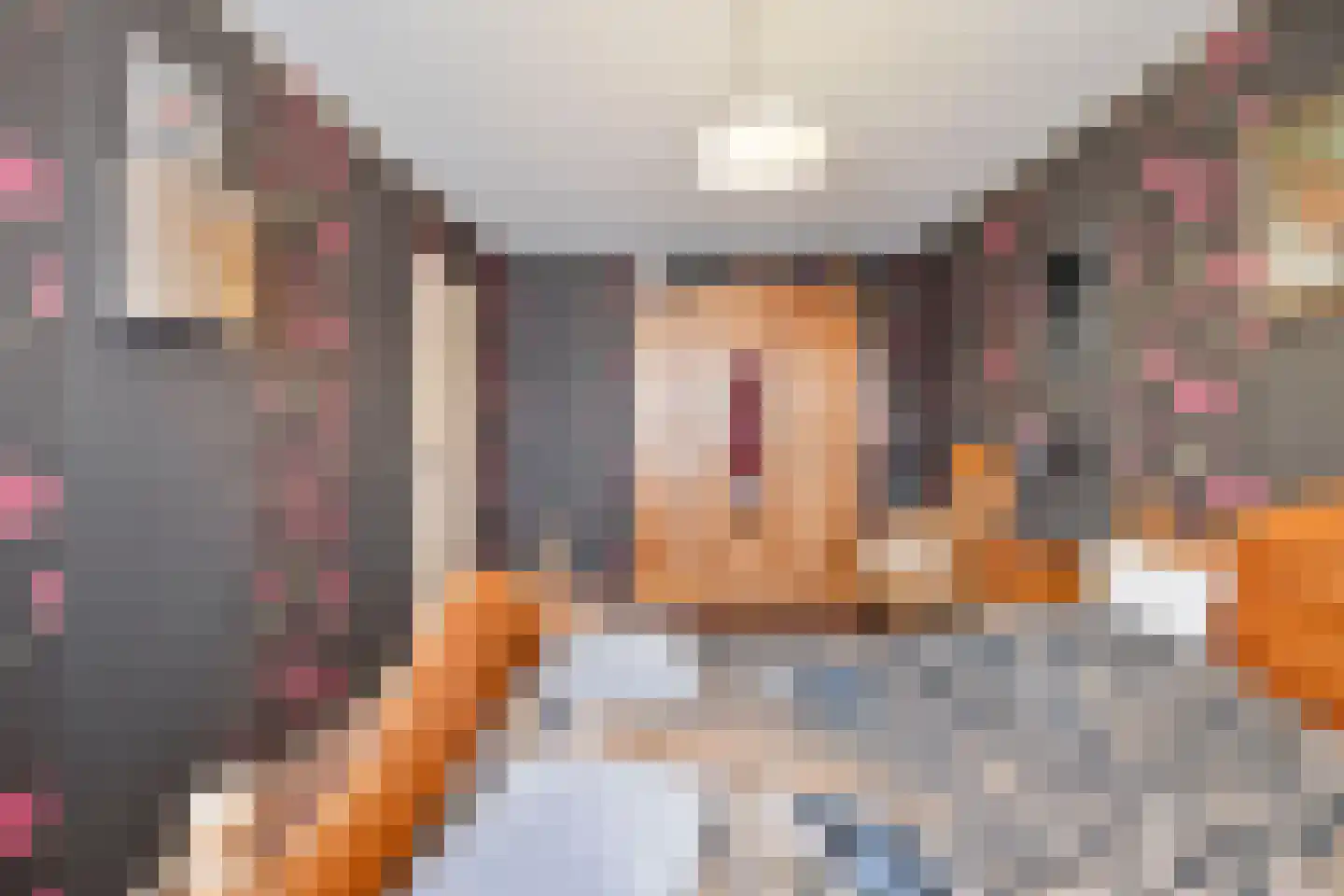 Pennekrogtje 33 Hippolytushoef thumbnail 14