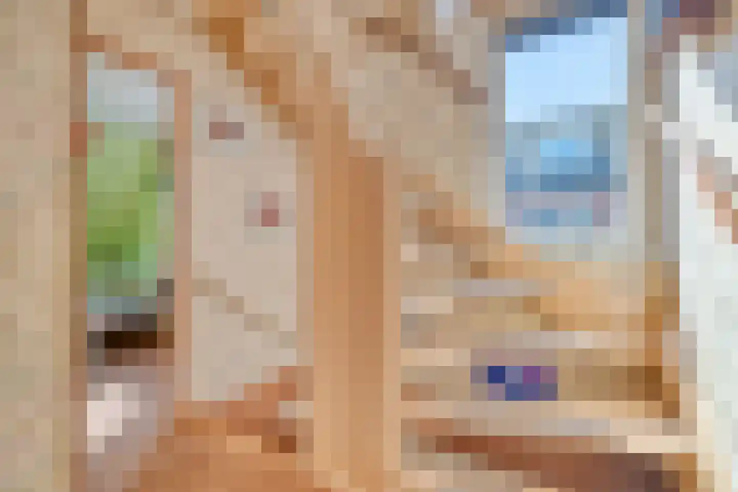 Pennekrogtje 33 Hippolytushoef thumbnail 15