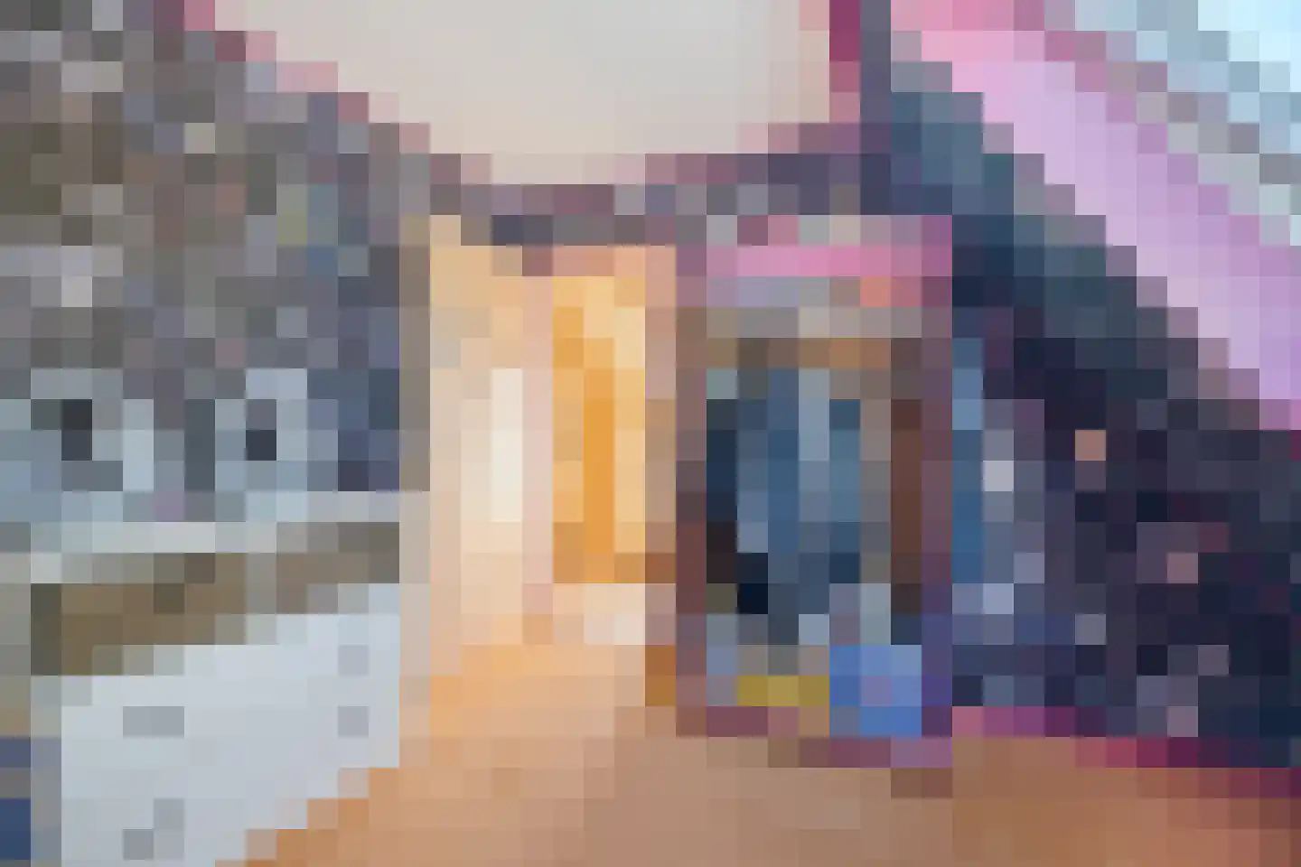 Pennekrogtje 33 Hippolytushoef thumbnail 19