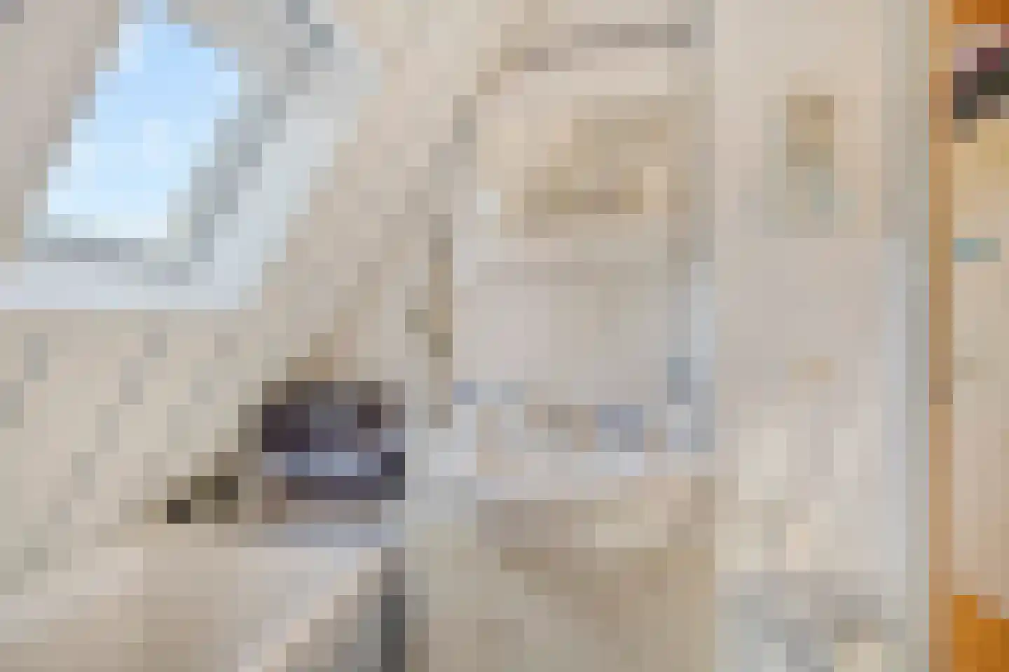 Pennekrogtje 33 Hippolytushoef thumbnail 22
