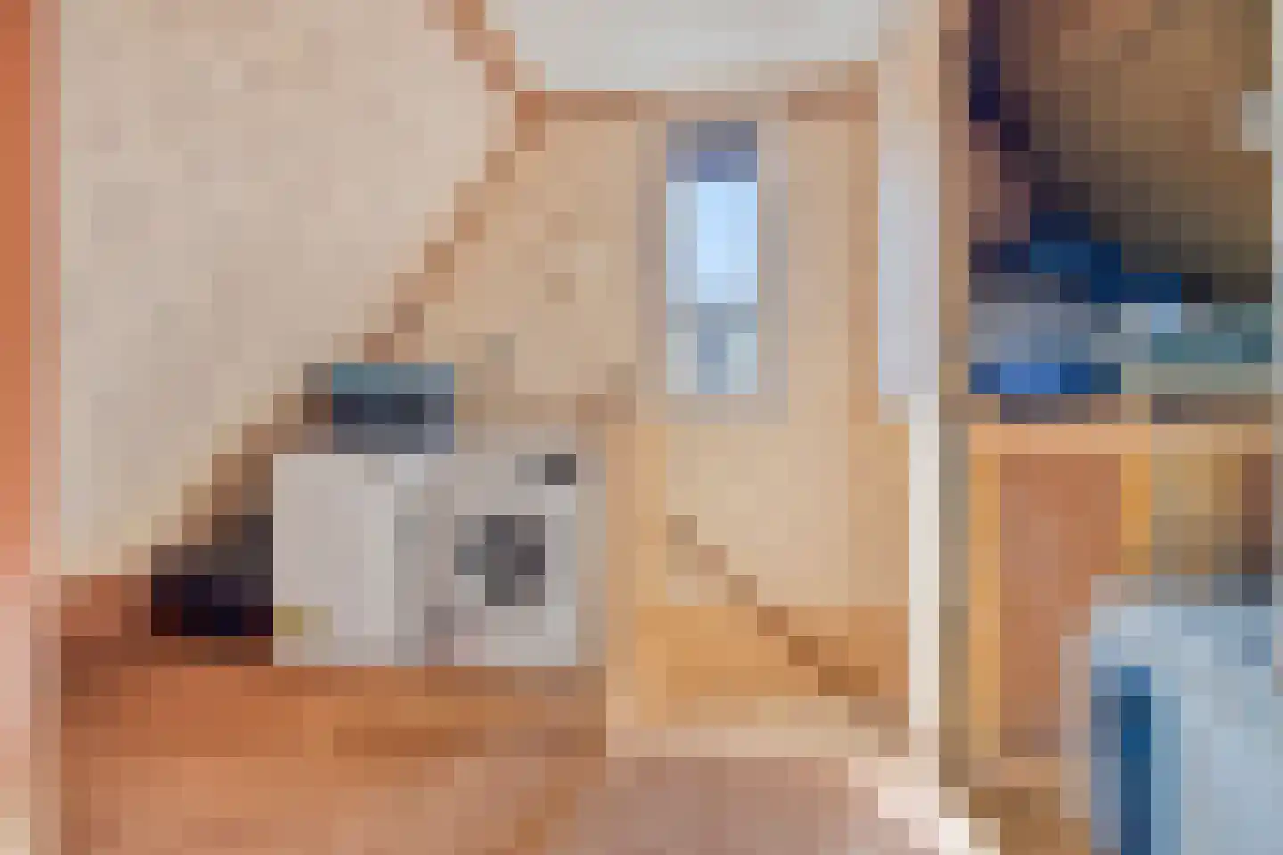 Pennekrogtje 33 Hippolytushoef thumbnail 23