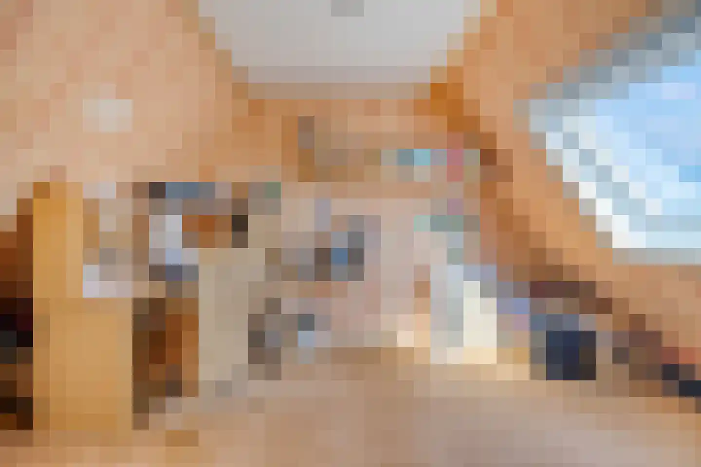 Pennekrogtje 33 Hippolytushoef thumbnail 24