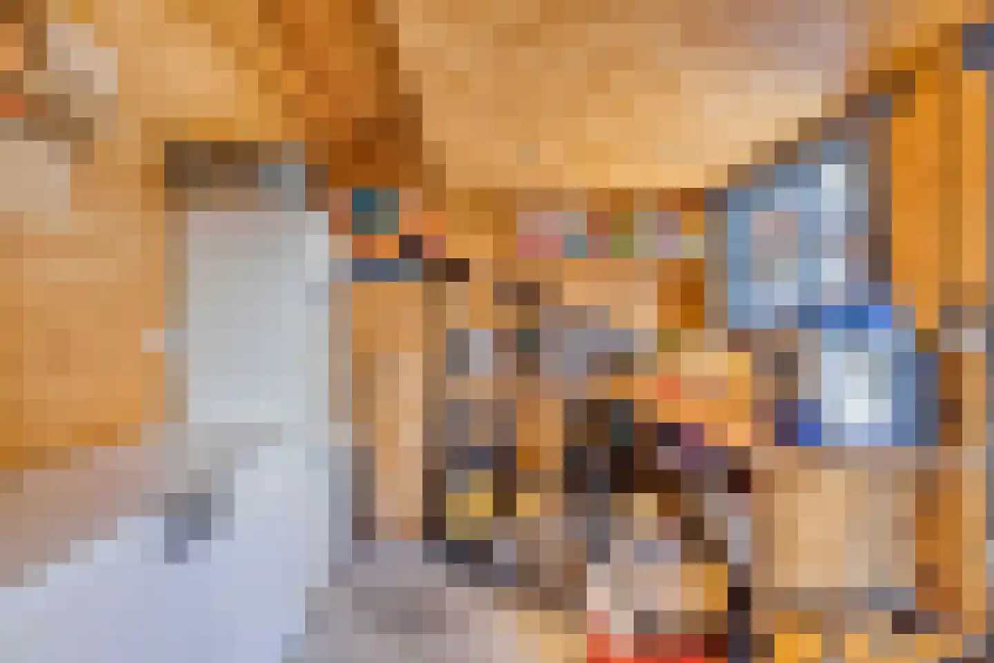 Pennekrogtje 33 Hippolytushoef thumbnail 34