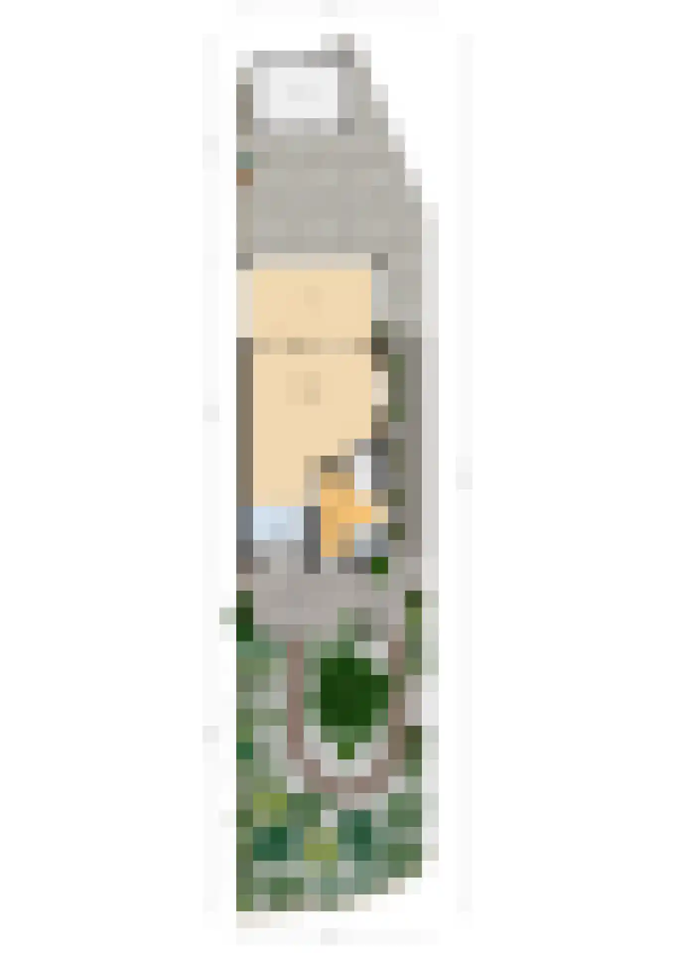 Pennekrogtje 33 Hippolytushoef thumbnail 36