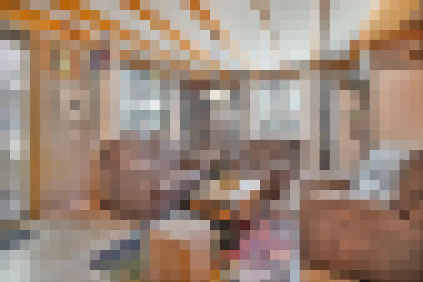 Pennekrogtje 33 Hippolytushoef thumbnail 5