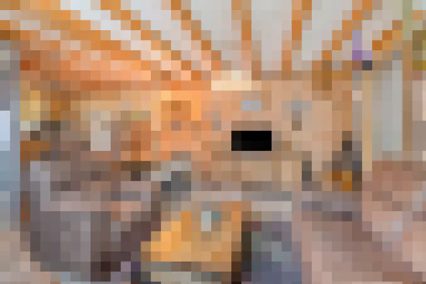 Pennekrogtje 33 Hippolytushoef thumbnail 7
