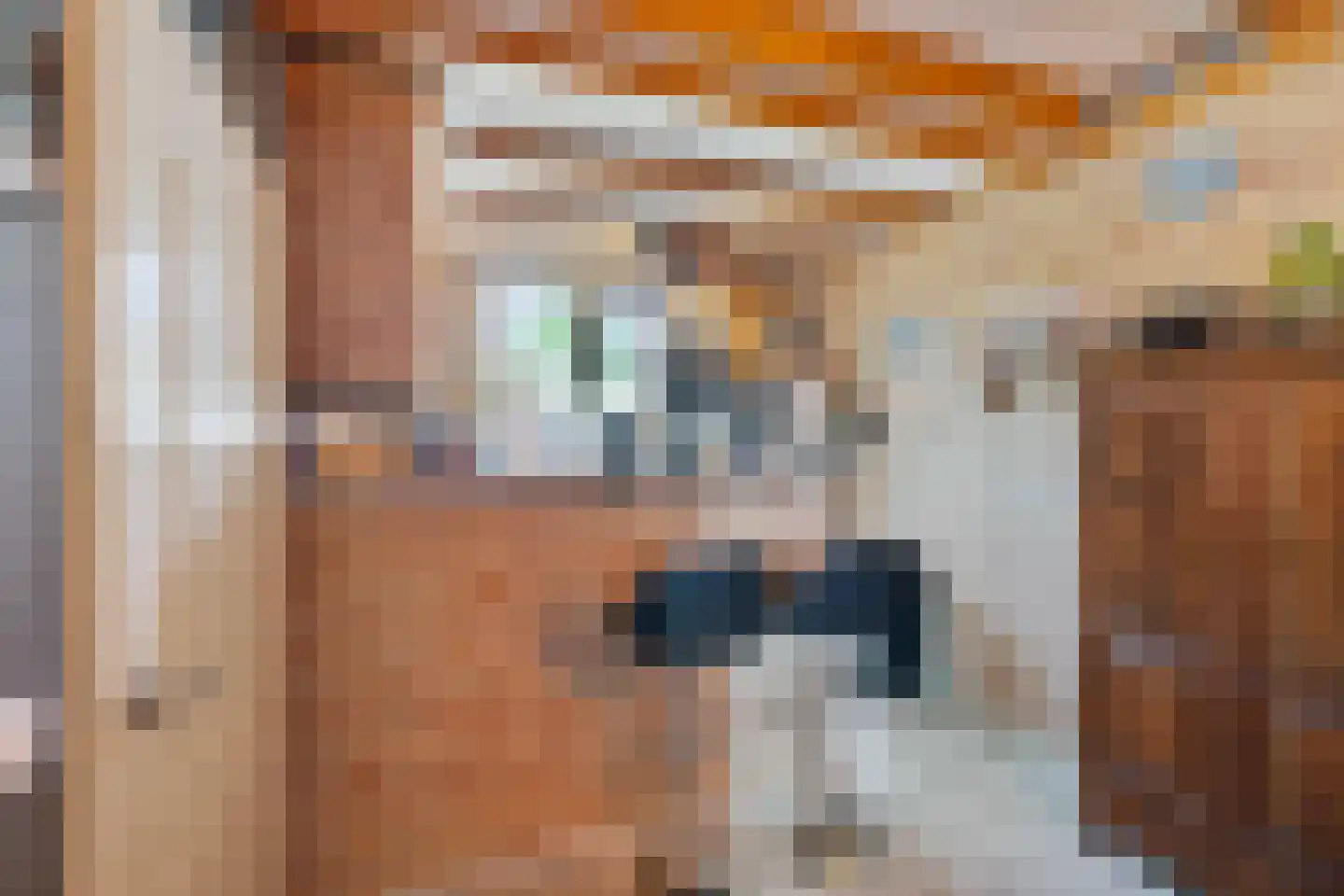 Pennekrogtje 33 Hippolytushoef thumbnail 8