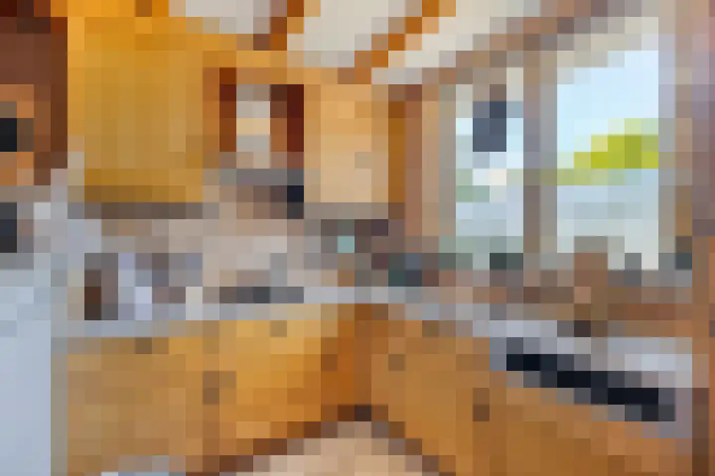 Pennekrogtje 33 Hippolytushoef thumbnail 9