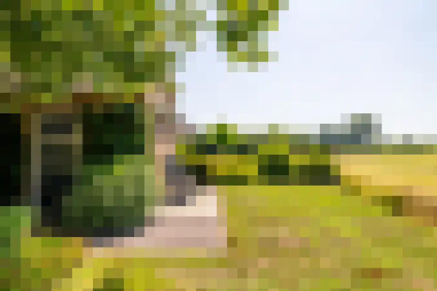 Pennendijk 26 Ulvenhout thumbnail 36
