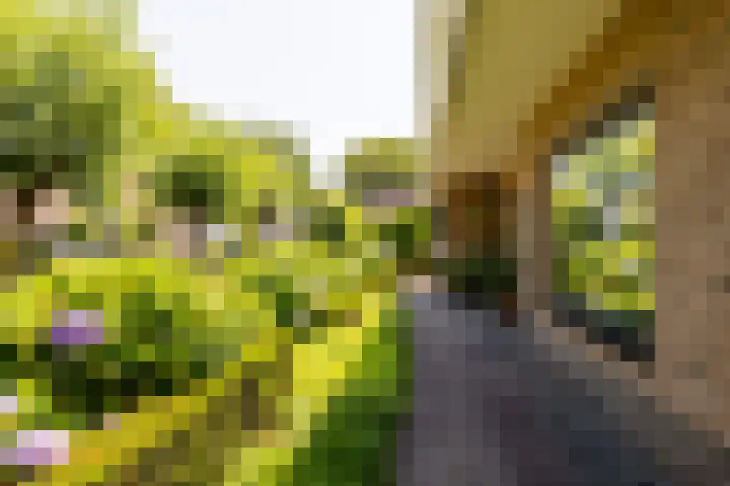 Pennendijk 26 Ulvenhout thumbnail 37