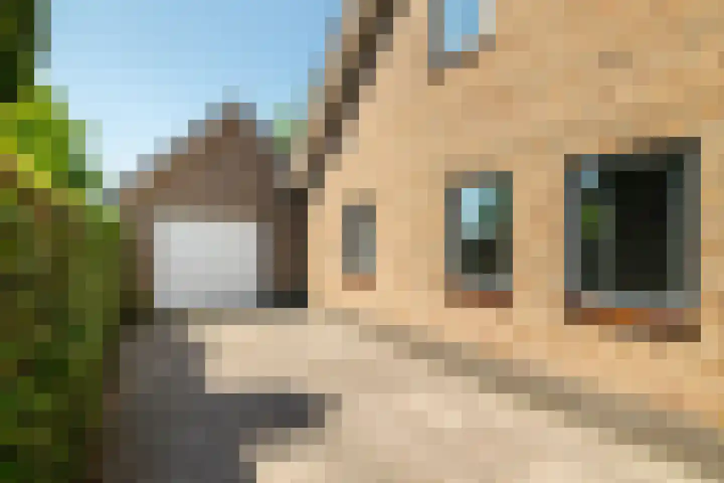 Pennendijk 26 Ulvenhout thumbnail 39