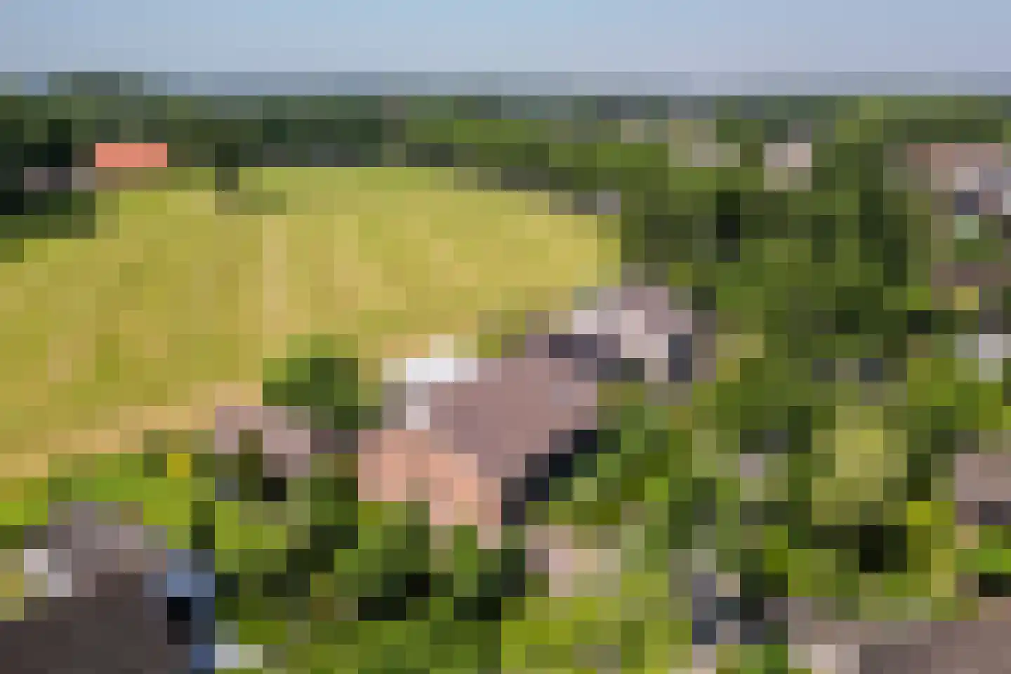 Pennendijk 26 Ulvenhout thumbnail 5
