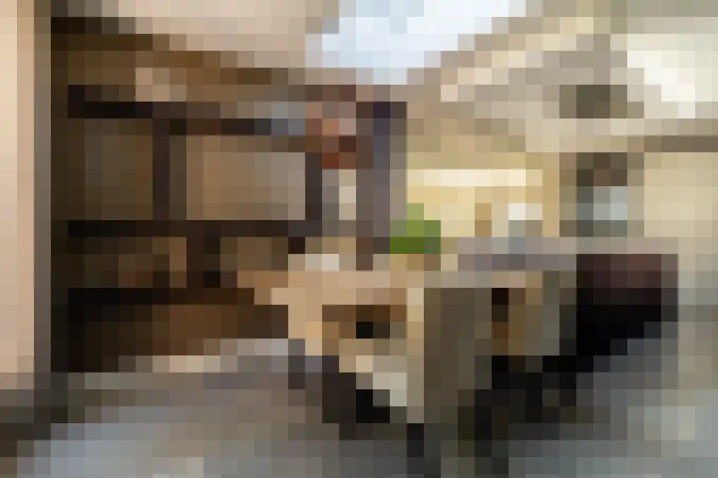 Pennendijk 39 Ulvenhout thumbnail 17