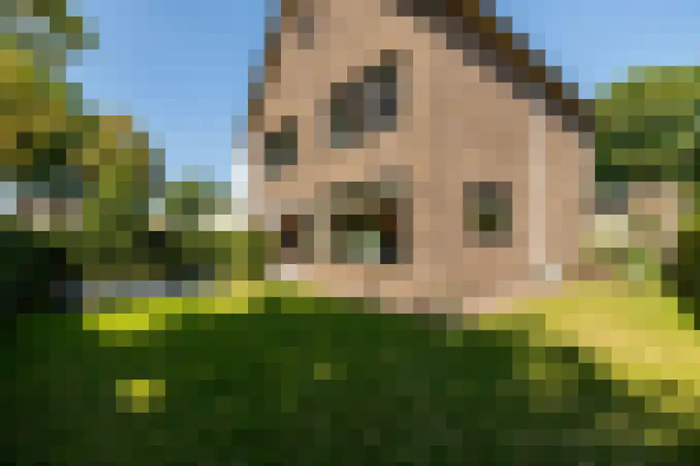 Pennendijk 39 Ulvenhout thumbnail 7