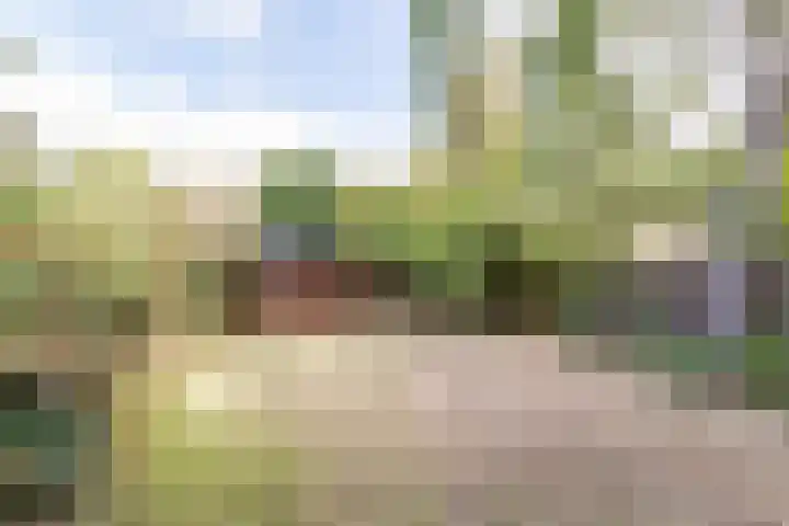 Pennendijk 63 Ulvenhout thumbnail 43