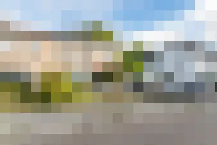 Pennendijk 63 Ulvenhout thumbnail 5