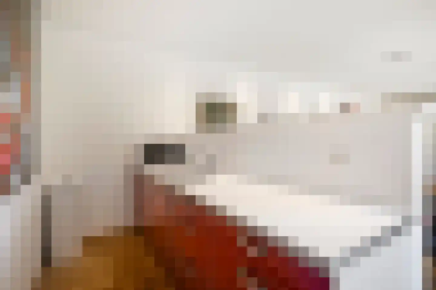 Penneven 7 Hippolytushoef thumbnail 22