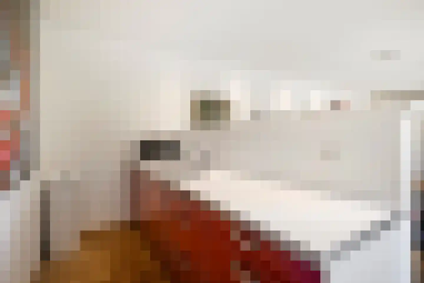 Penneven 7 Hippolytushoef thumbnail 24