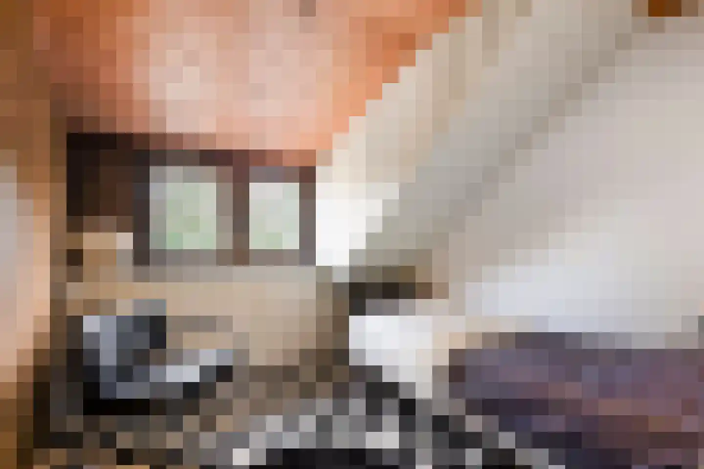 Penneven 7 Hippolytushoef thumbnail 33