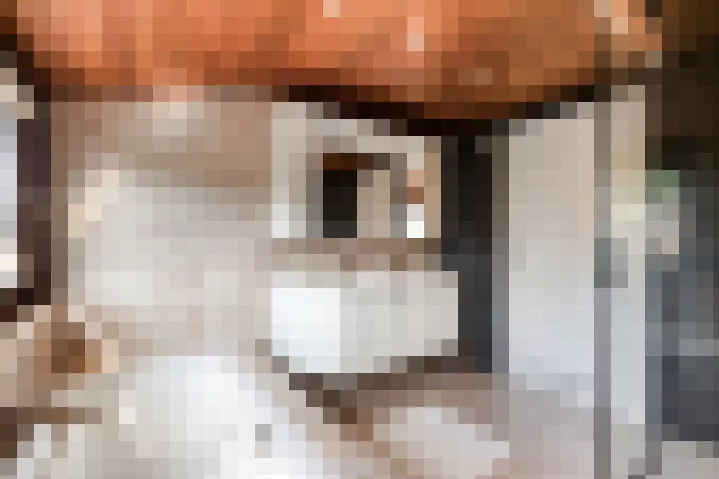 Penneven 7 Hippolytushoef thumbnail 34