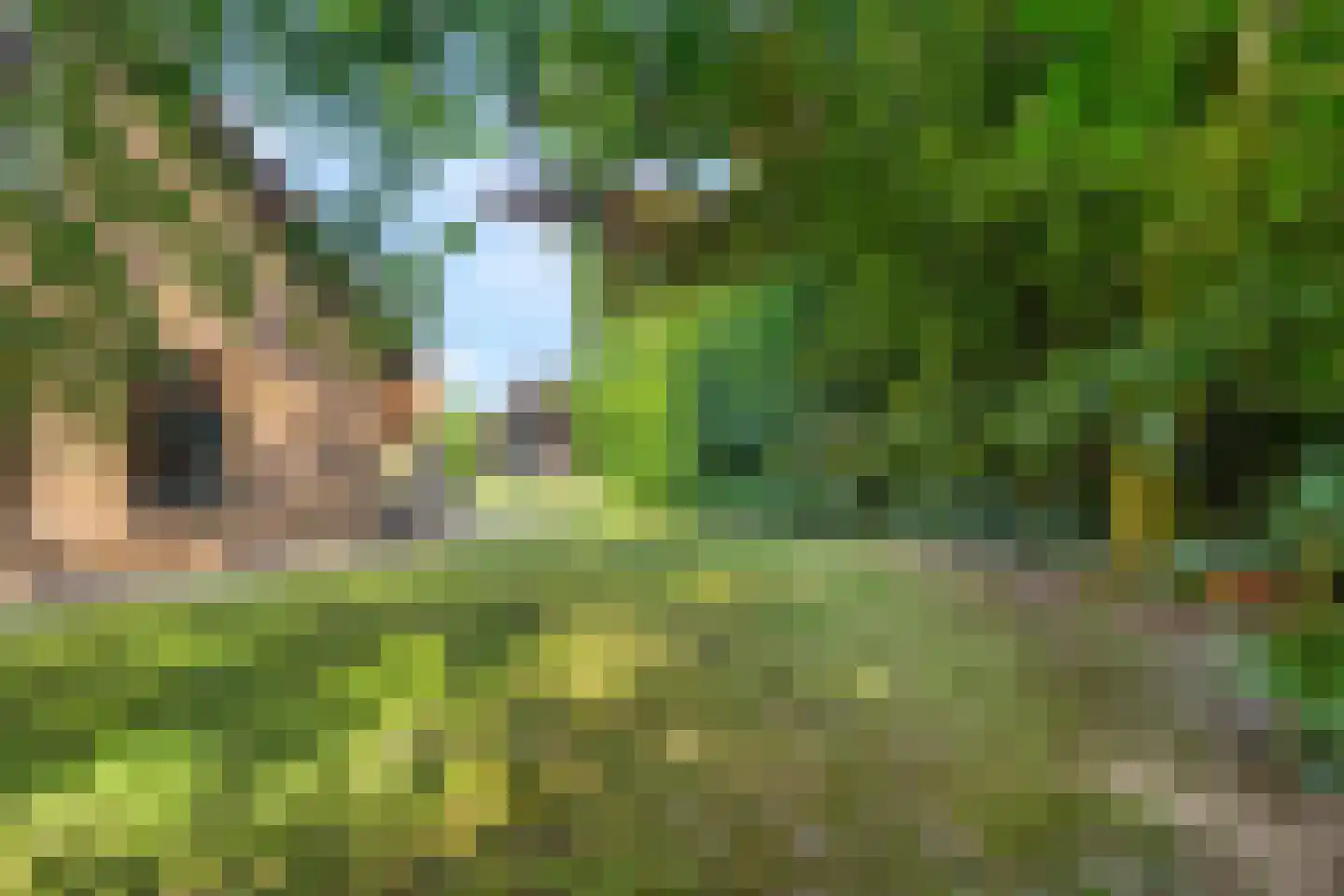 Penneven 7 Hippolytushoef thumbnail 55