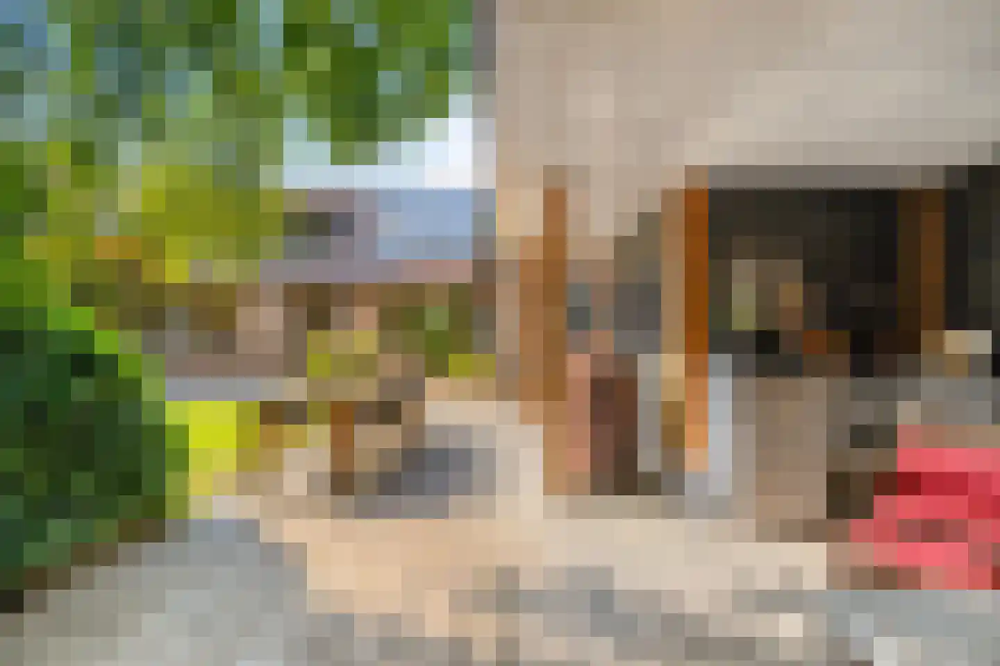 Penneven 7 Hippolytushoef thumbnail 63