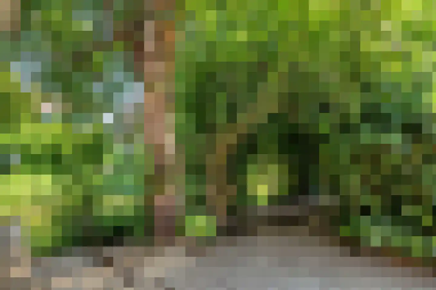 Penneven 7 Hippolytushoef thumbnail 64