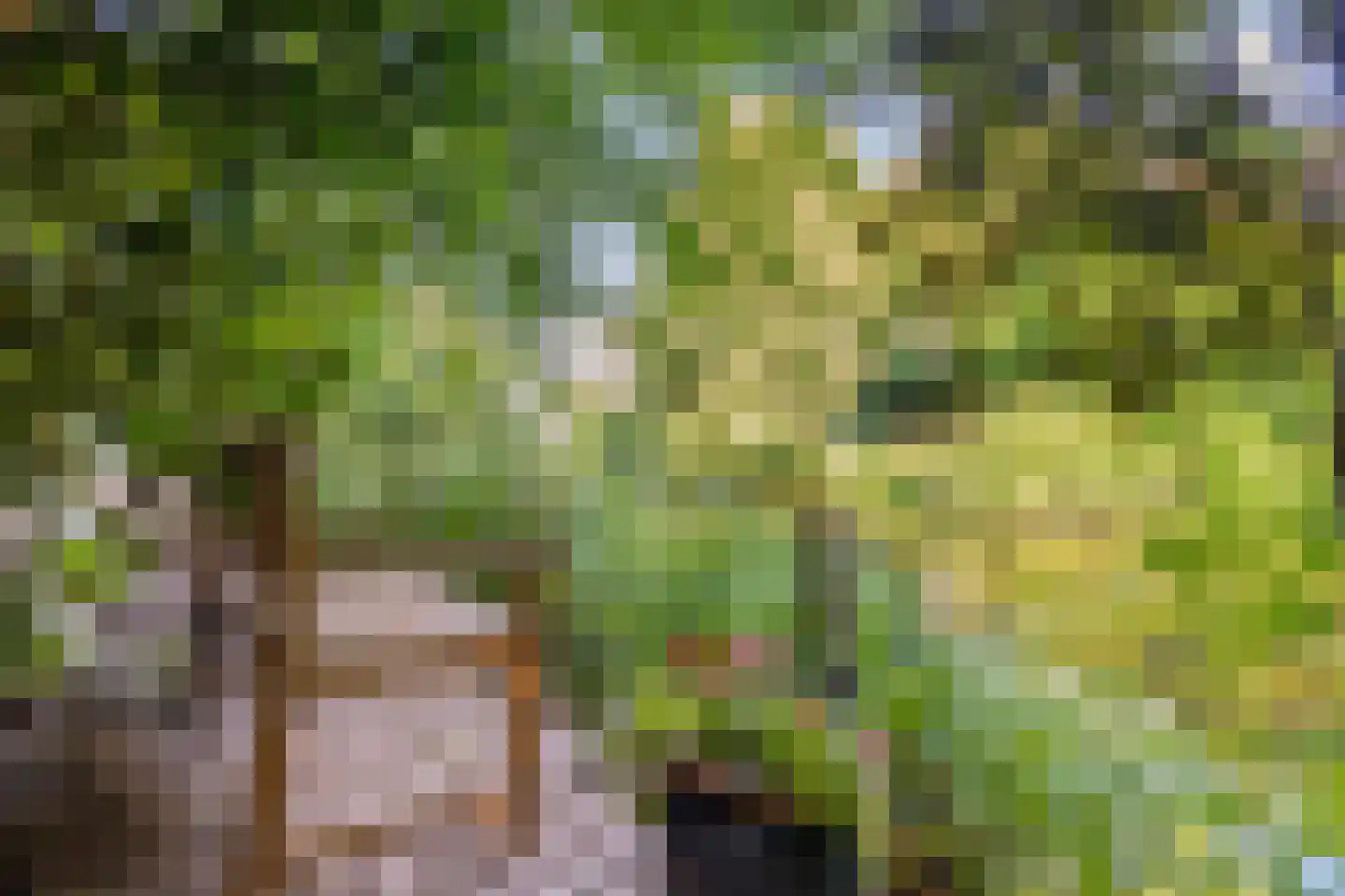 Penneven 7 Hippolytushoef thumbnail 65