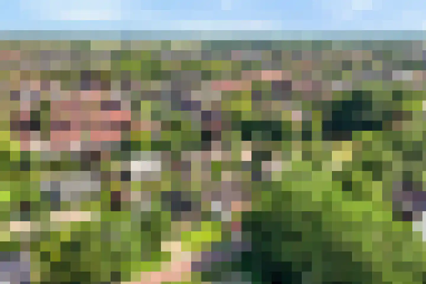 Penneven 7 Hippolytushoef thumbnail 69