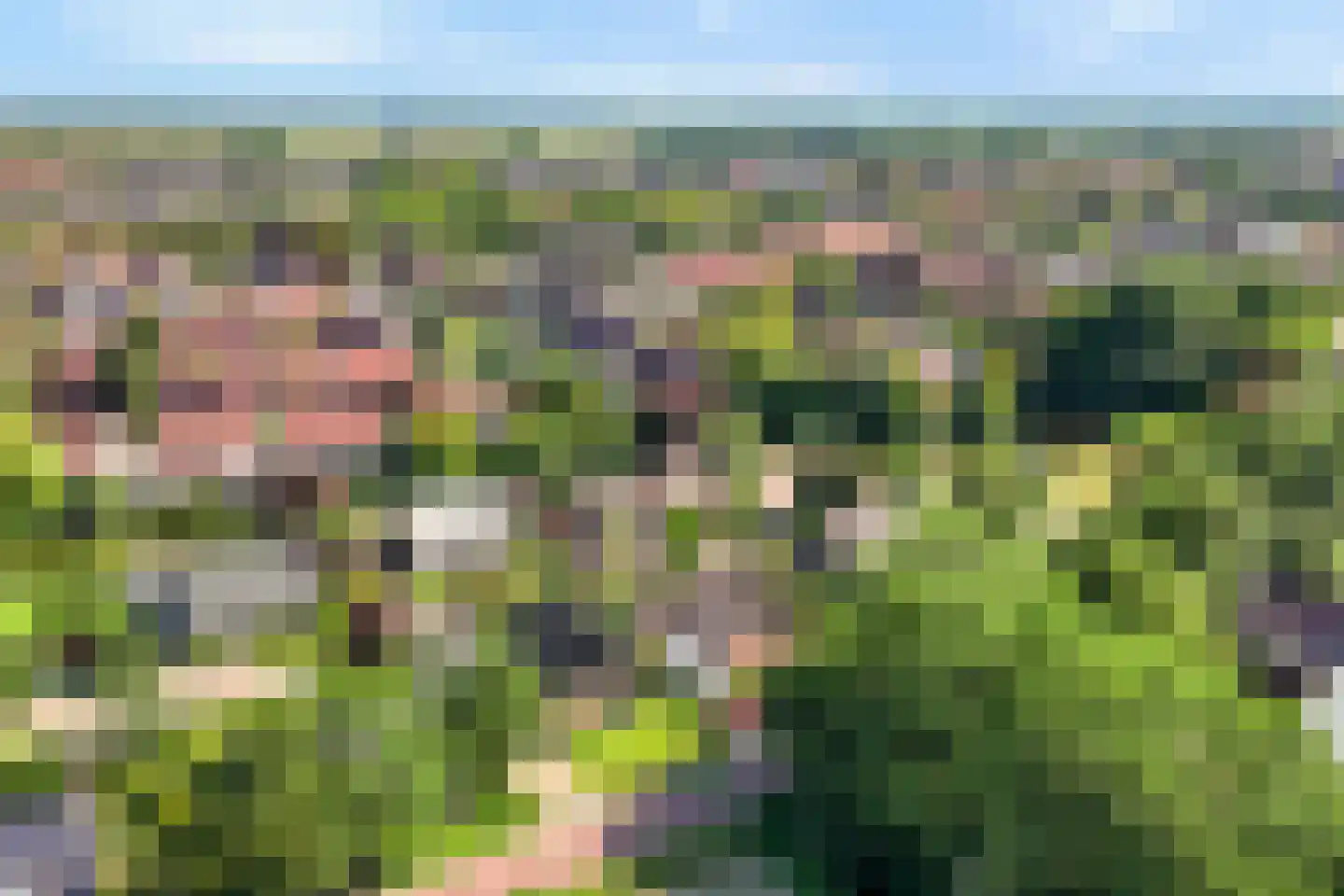 Penneven 7 Hippolytushoef thumbnail 70