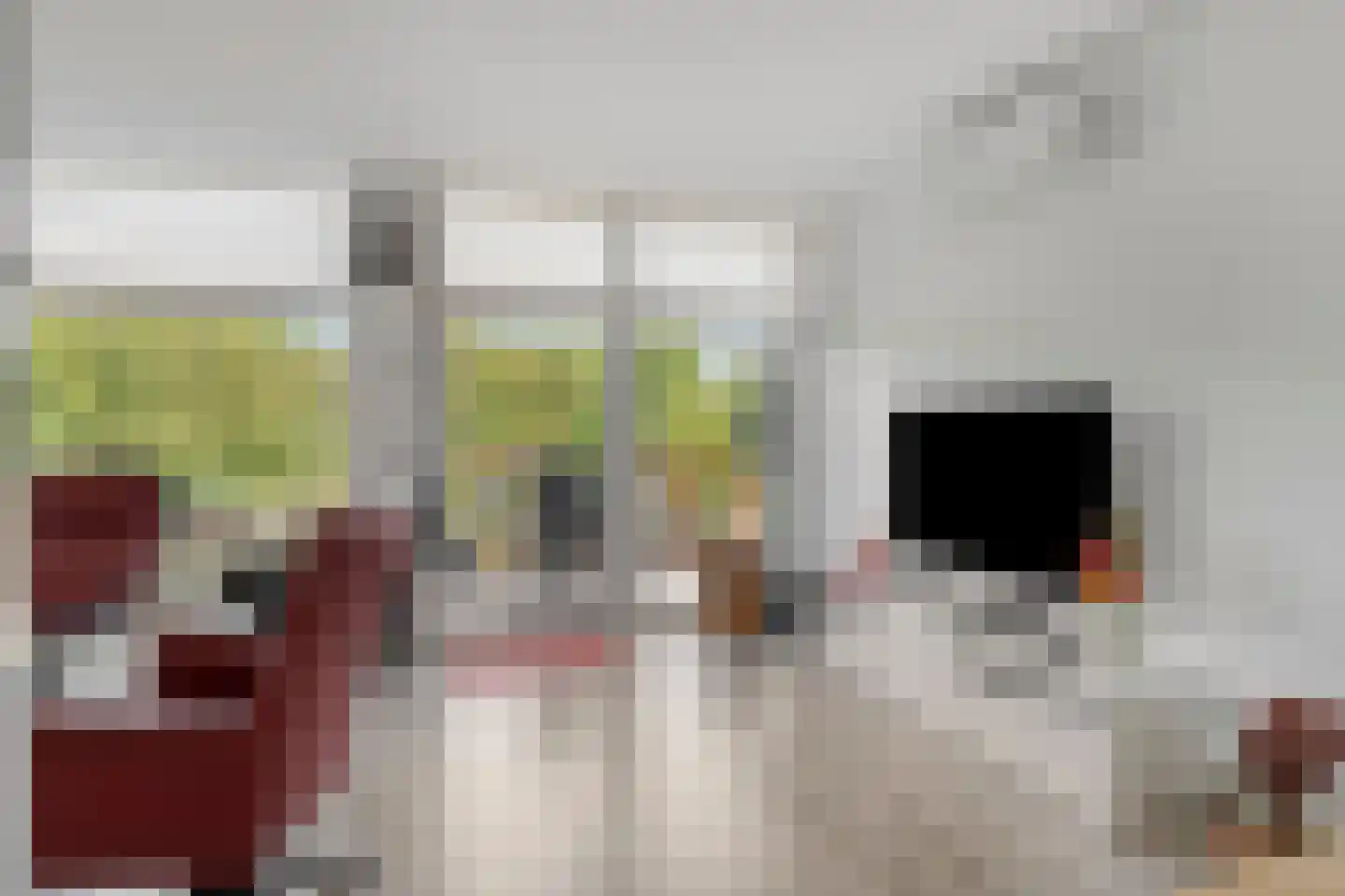 Penninghlaan 9 Berkel en Rodenrijs thumbnail 8