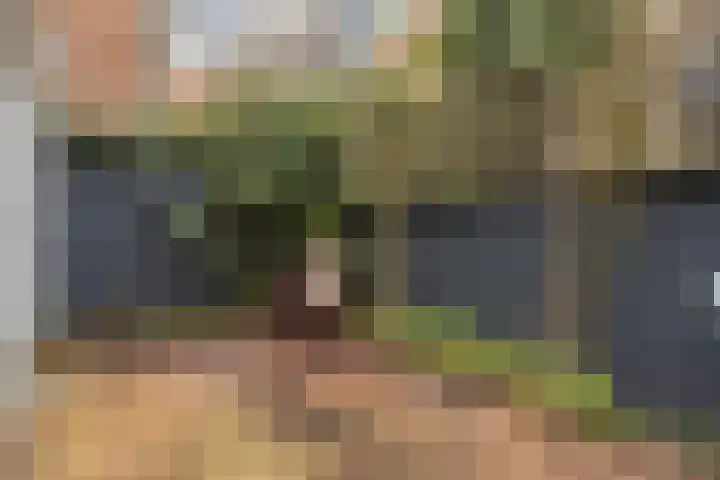 Penninghoek 6 Middelburg thumbnail 22