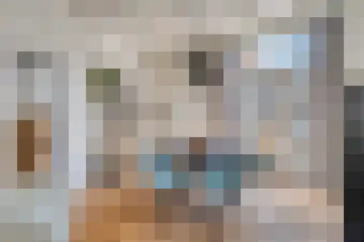 Penninghoeksingel 5 Middelburg thumbnail 13