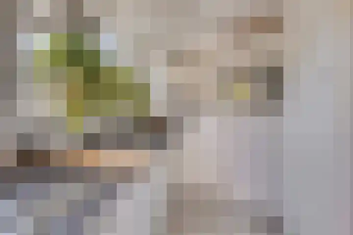Penninghoeksingel 5 Middelburg thumbnail 16