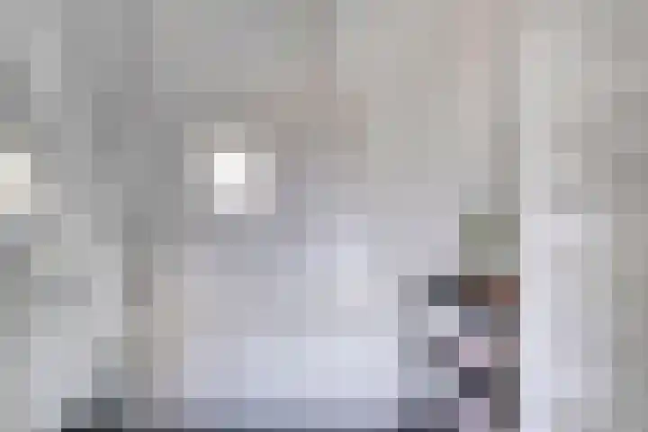 Penninghoeksingel 5 Middelburg thumbnail 22