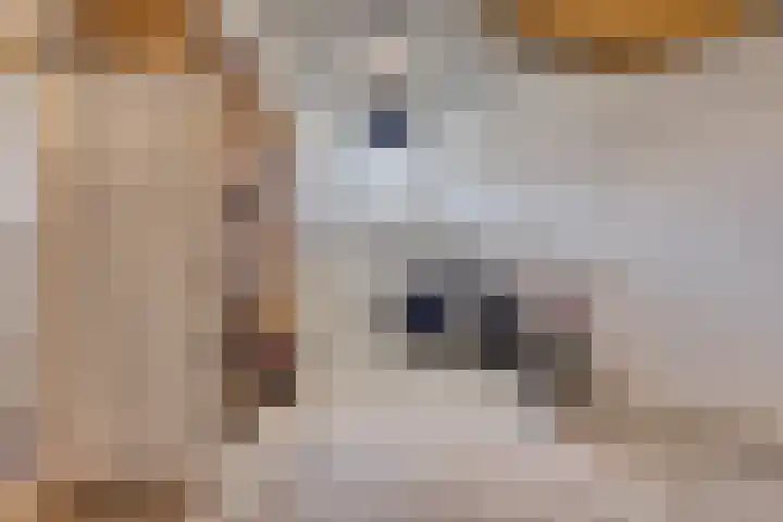Penninghoeksingel 5 Middelburg thumbnail 31