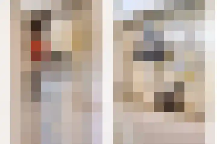 Penninghoeksingel 5 Middelburg thumbnail 32